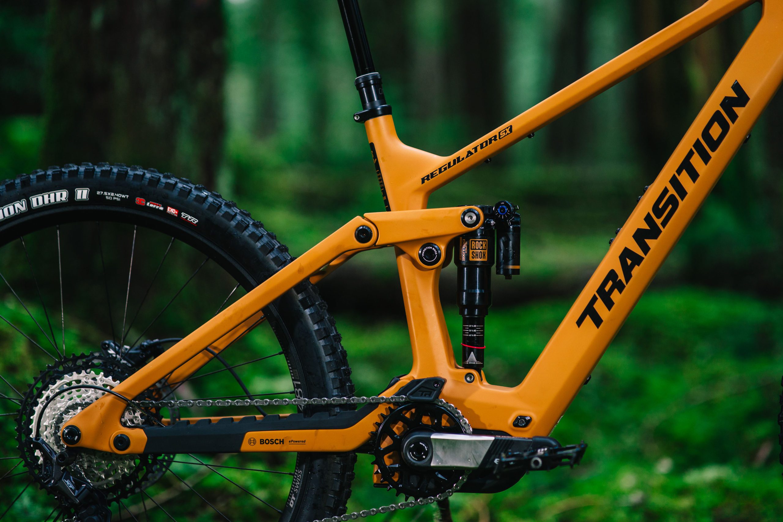 Transition Regulator SX XT 2025 - obrazek 7