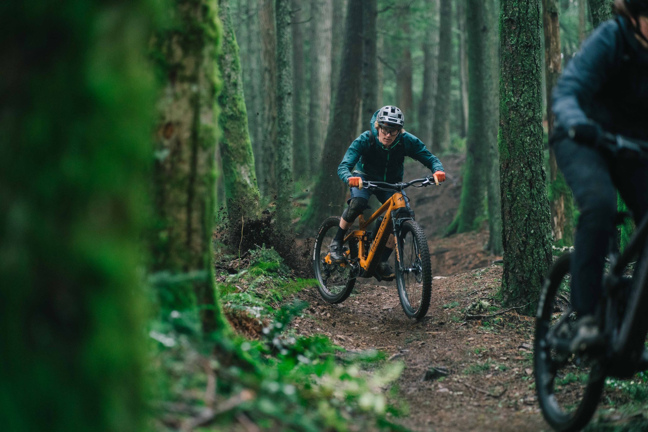 Transition Regulator SX XT 2025 - obrazek 3