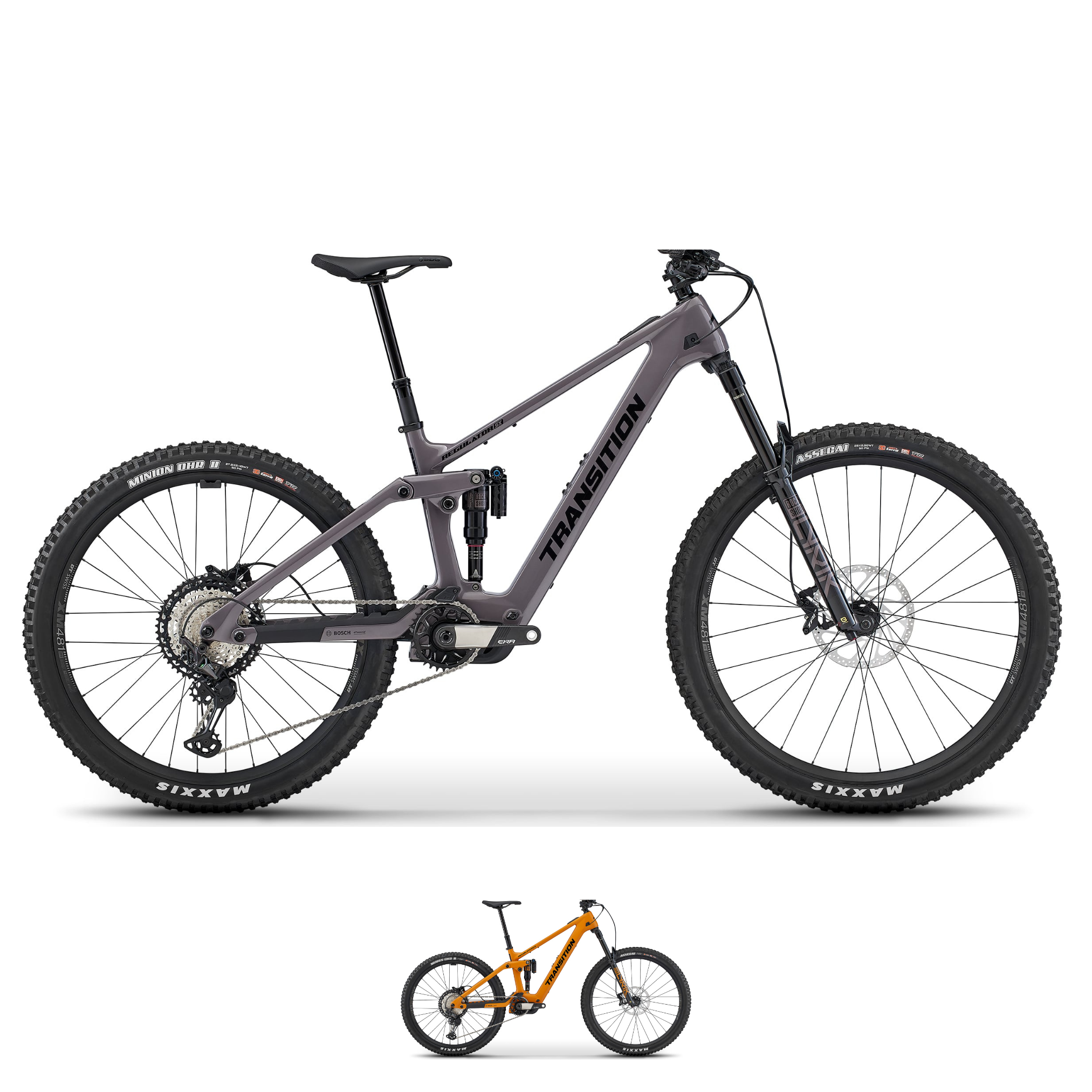 Transition Regulator SX XT 2025