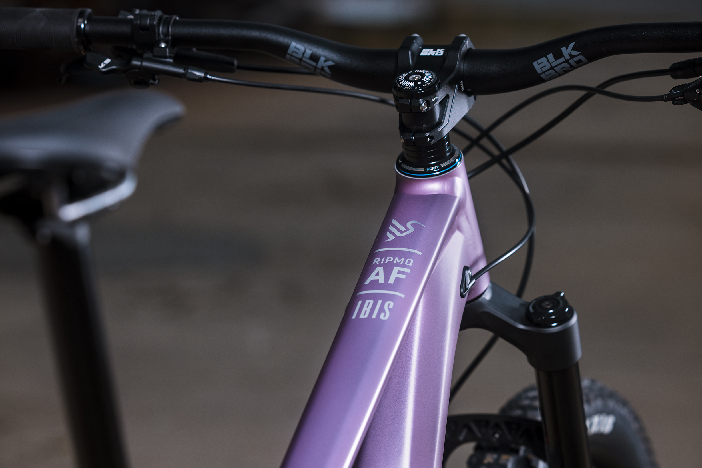 Ibis Ripmo AF V2 Frameset 2025 - obrazek 11